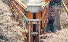 樱花季|与思域一起踏入武汉春天